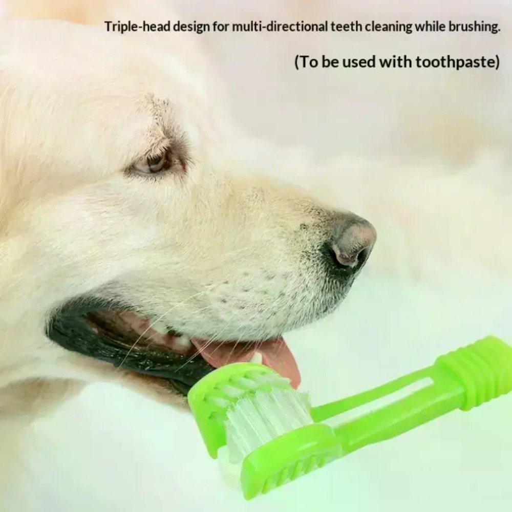 แปรงสีฟันสัตว์เลี้ยง 3 ด้าน สำ - Teeth Whitening Mouthwash บทวิจารณ์และราคา