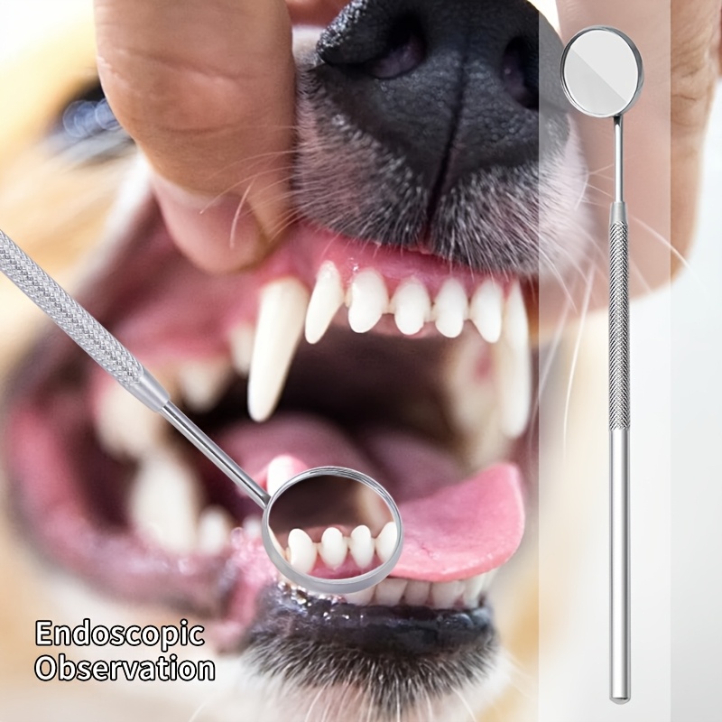 เครื่องขจัดคราบหินปูนด้วยคลื่น - Teeth Whitening Mouthwash บทวิจารณ์และราคา